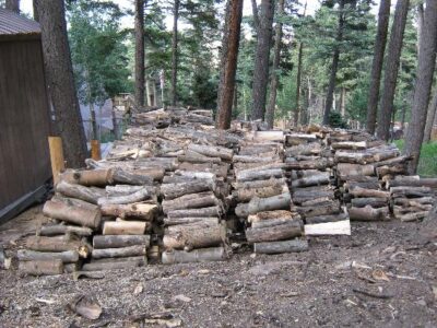 Firewood A Major Summer Task. Image